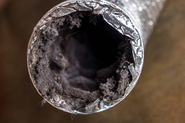 Best Affordable Air Duct Cleaning  in Lamoni, IA