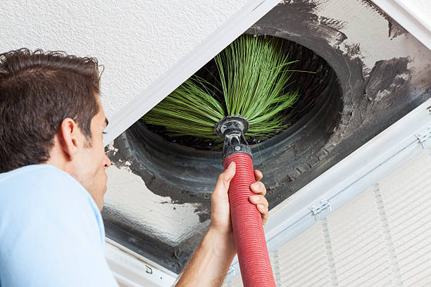 Best Best Air Duct Cleaning Company  in Lamoni, IA