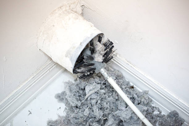 Best Air Duct Cleaning Near Me  in Lamoni, IA