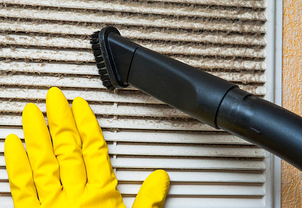 Best Local Air Duct Cleaning Services  in Lamoni, IA